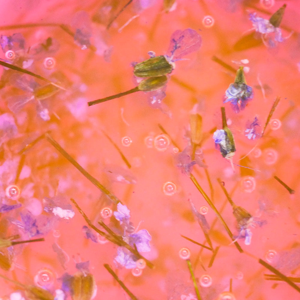 Gellack TUFI profi PREMIUM Bloom 02 mit getrockneten Blüten Hyazinth (0295302)